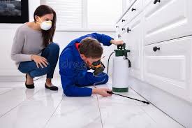 Real Estate Pest Inspections in Whitfield, FL